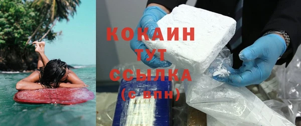 хмурый Аркадак