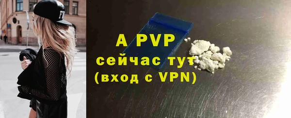 хмурый Аркадак