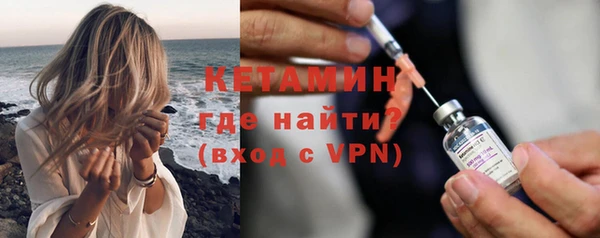 шишки Арсеньев