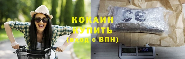 индика Армянск