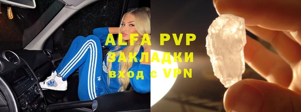 хмурый Аркадак