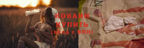 индика Армянск