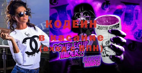 хмурый Аркадак