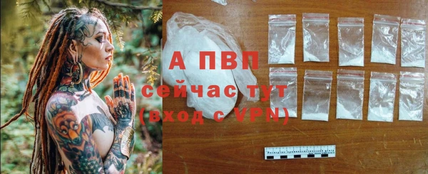 соль ск Зерноград